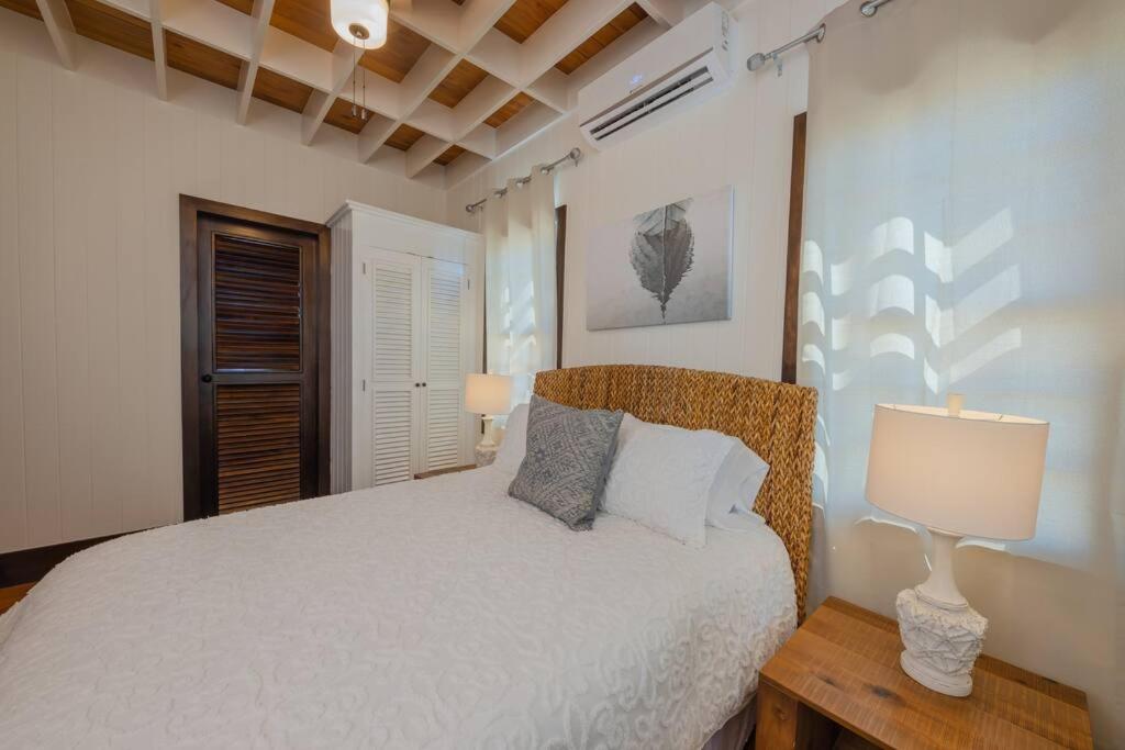 Athena's Mahogany House and The PoolClub at Mahogany Bay! photo 2