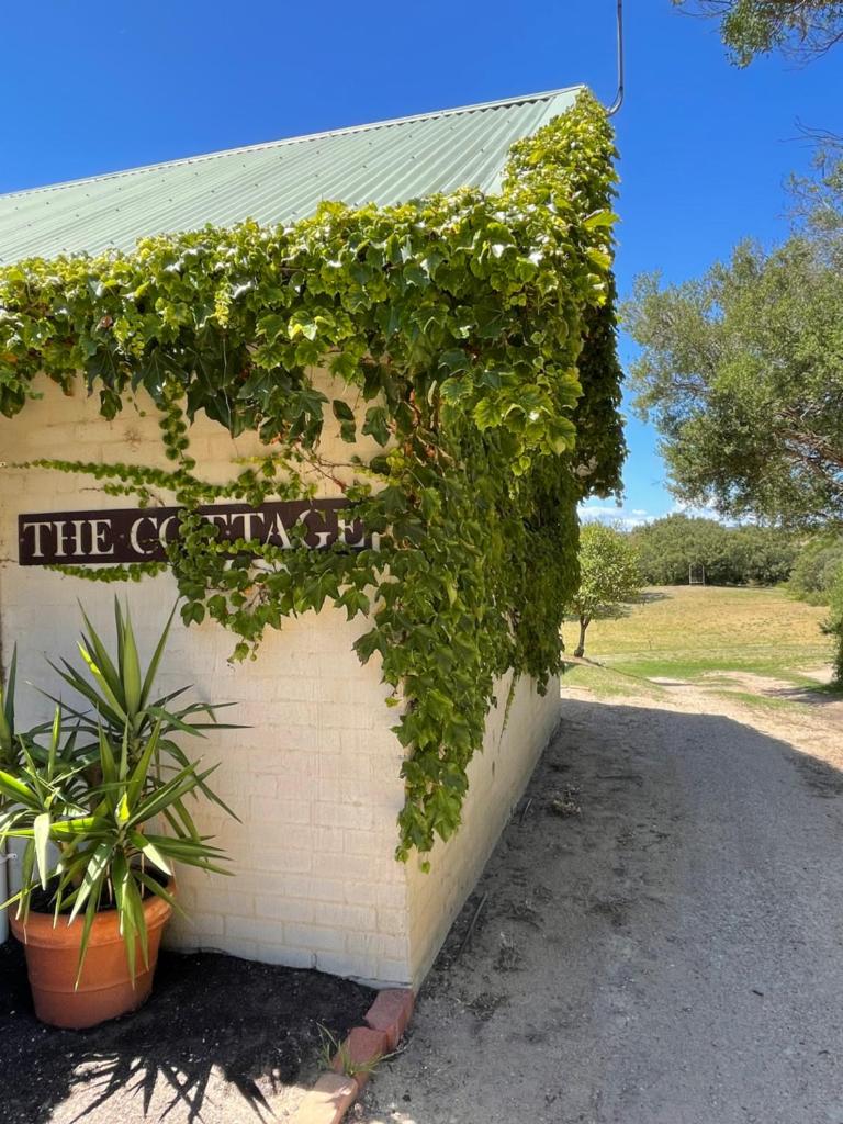 The Fingal Farm photo 1