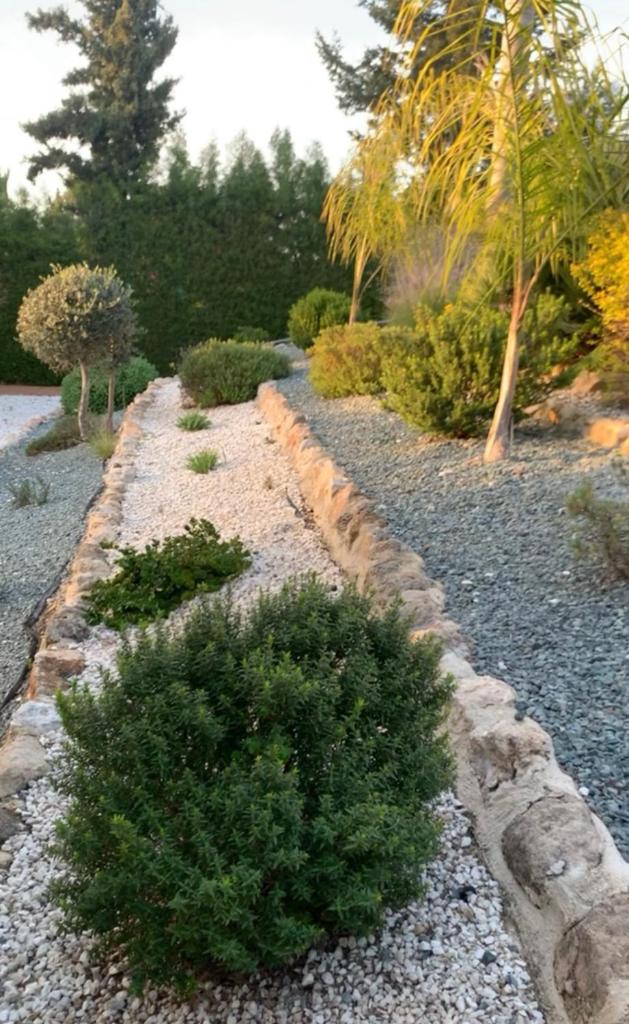 Villa Anna Maria photo 4