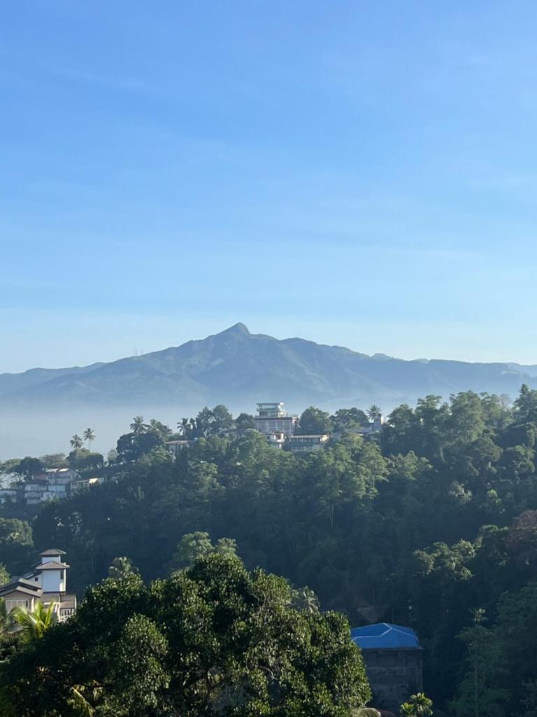 Hansons Homestay photo 1