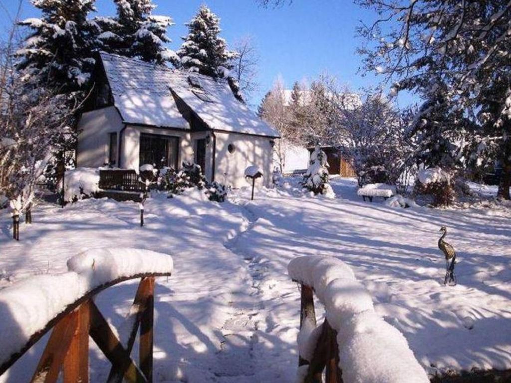 Holiday home in Saxony with private terrace photo 4