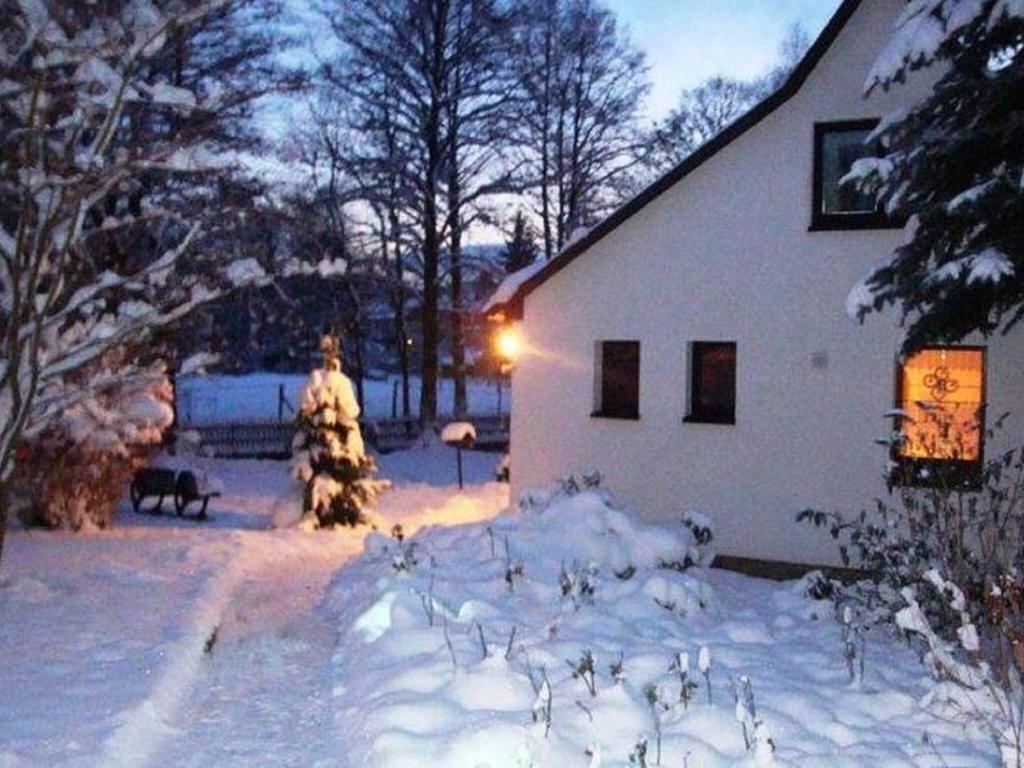 Holiday home in Saxony with private terrace photo 3