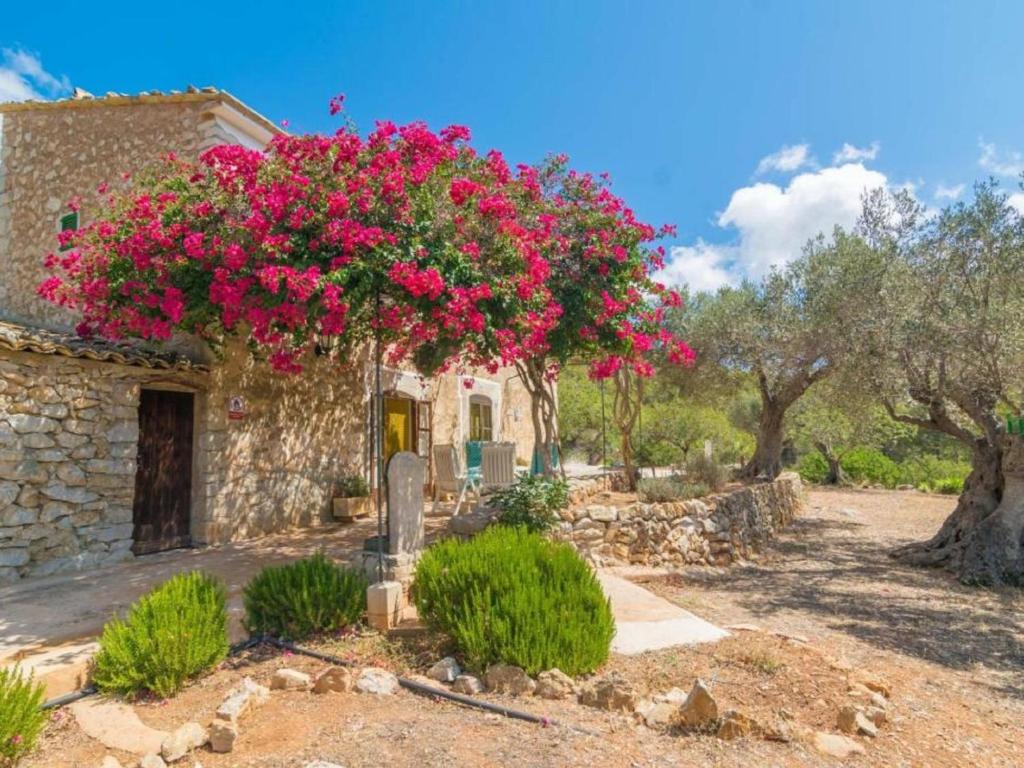 Holiday Home Can Tiona by Interhome photo 1