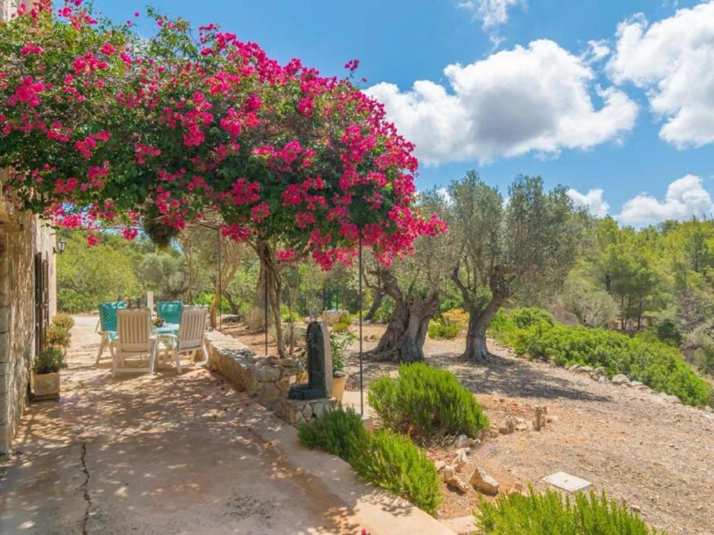Holiday Home Can Tiona by Interhome photo 4