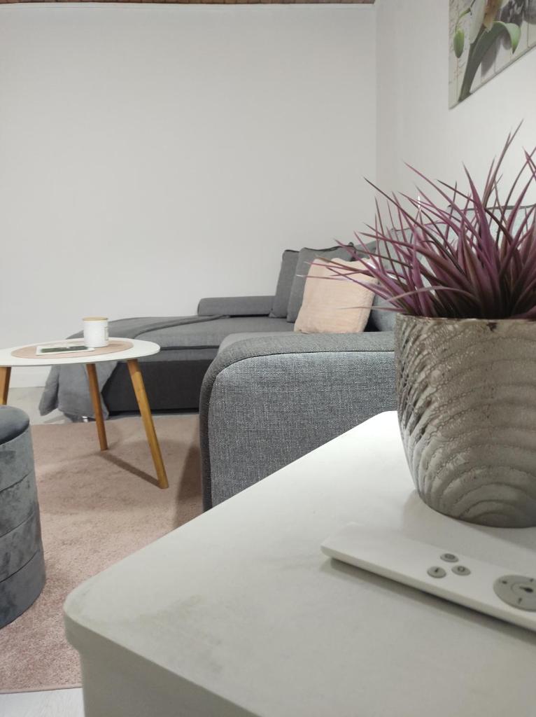 Apartment Iskra photo 2