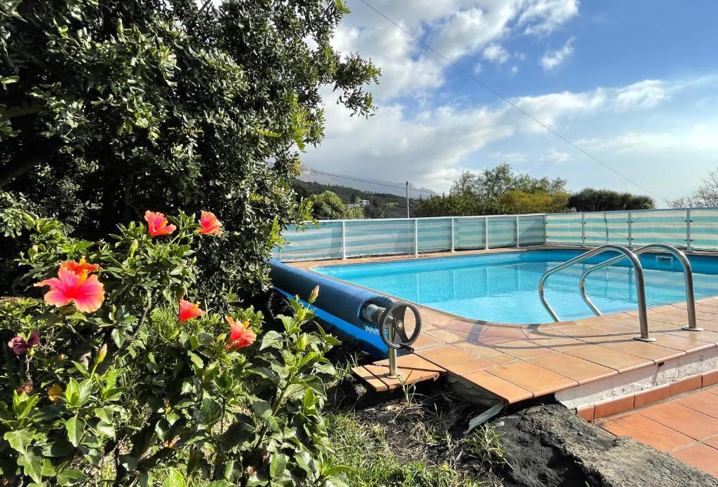 Casa Adassa photo 2