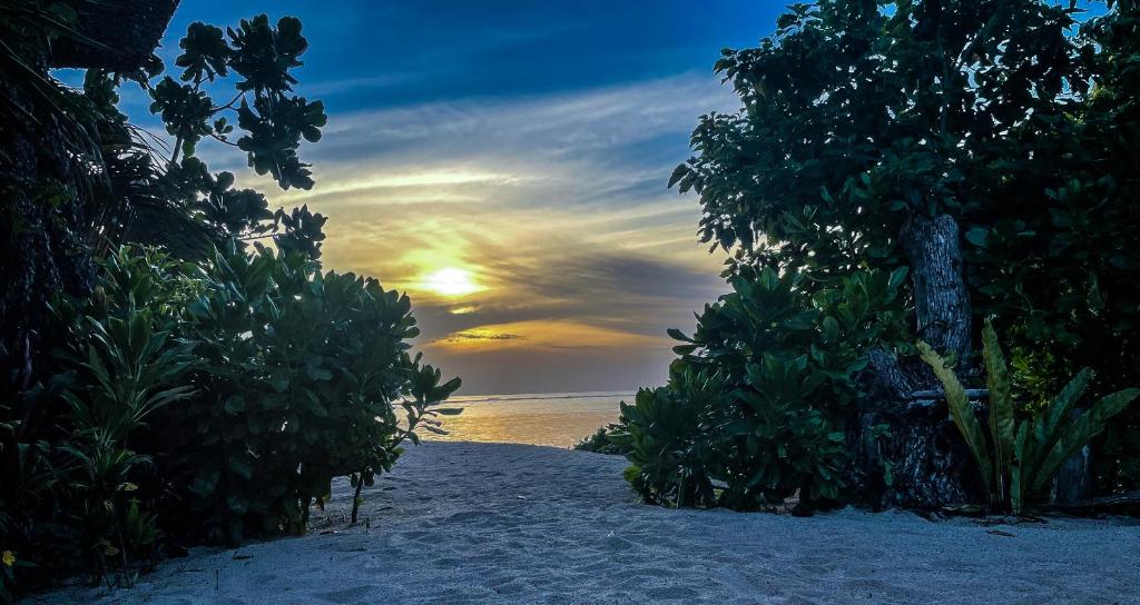 Lyla Beach Villa photo 1