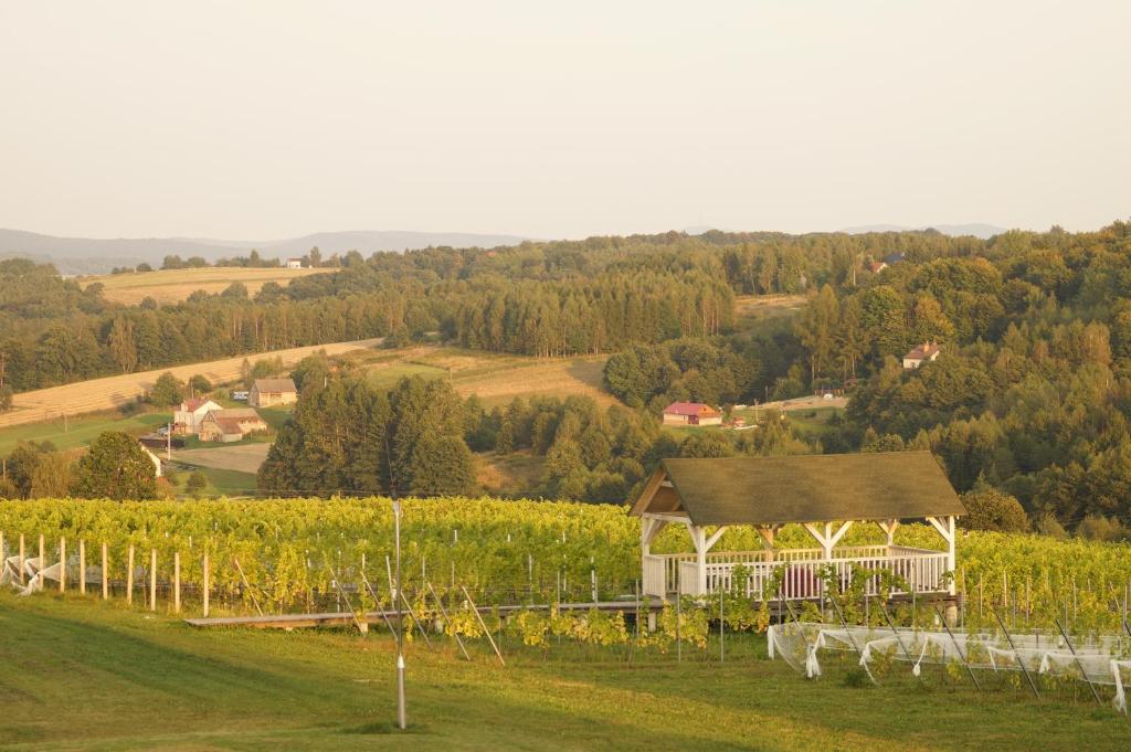 Winnica Sztukówka photo 3