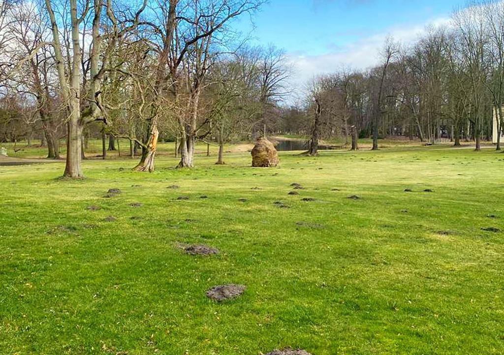Spreewaldhof photo 2