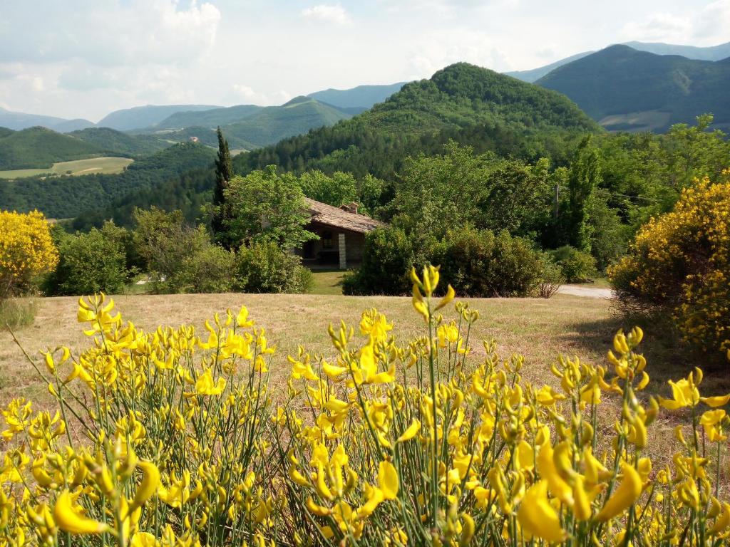 Agriturismo del Frontino - Ca' Marianna photo 2