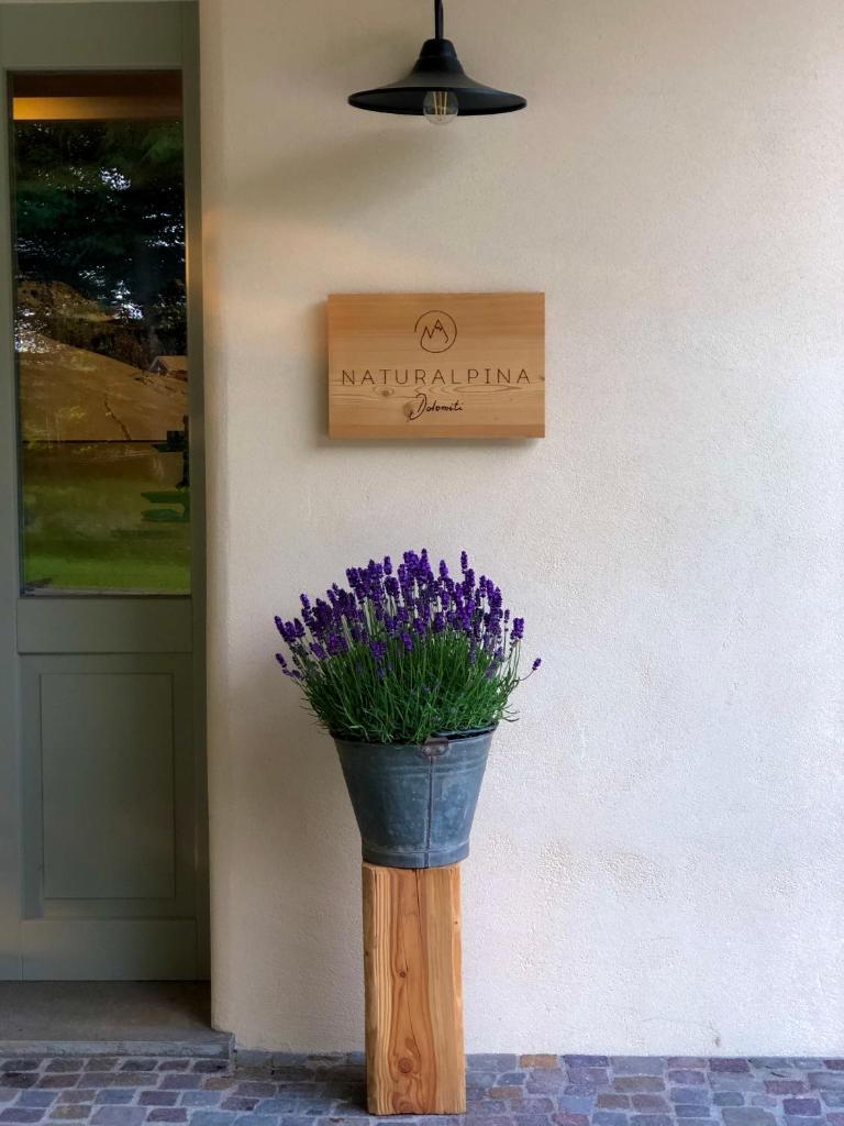 Loft Naturalpina Dolomiti Farm photo 3