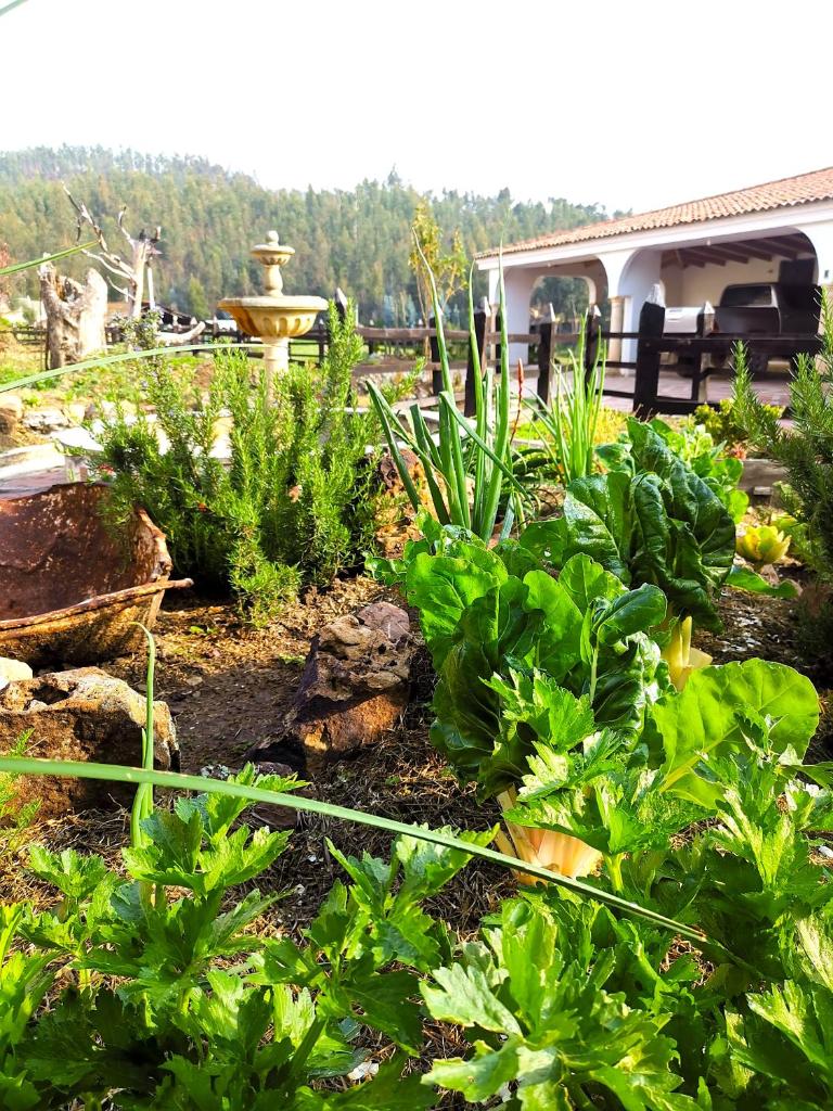 Lujosa Casa Quinta en Naturaleza Andina