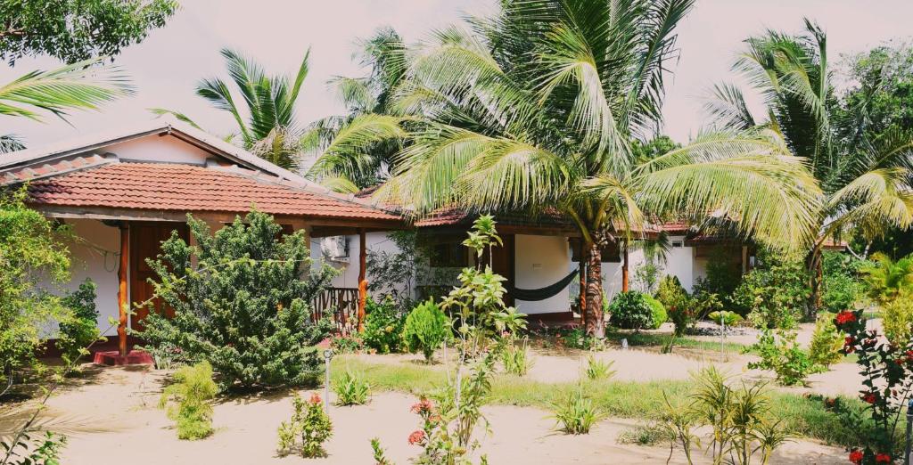 Prime Surfers Bungalow photo 3