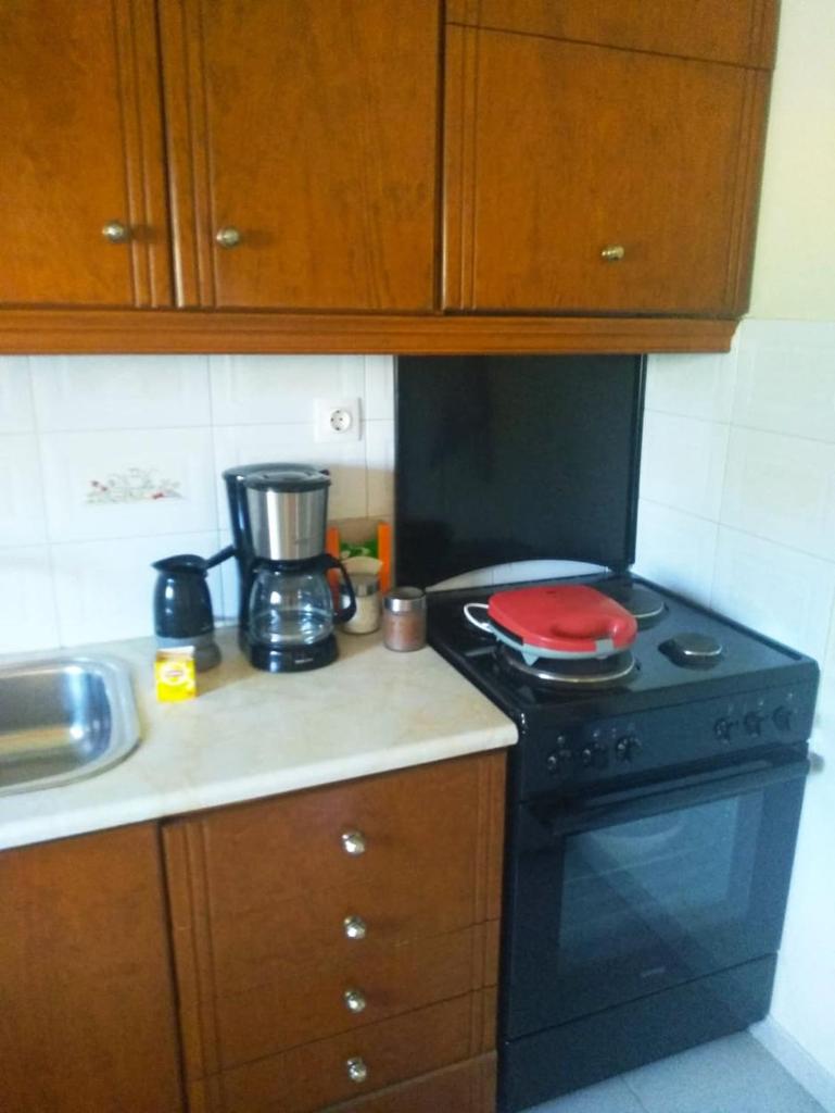 Chrysa's House Apartment photo 1