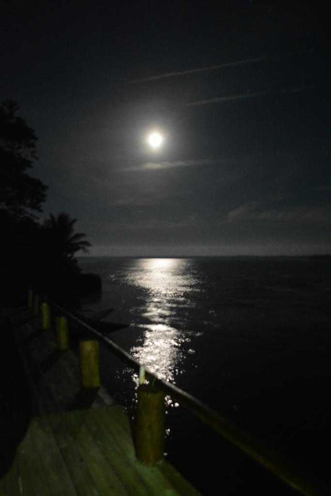 Camping Mirante dos Golfinhos photo 4