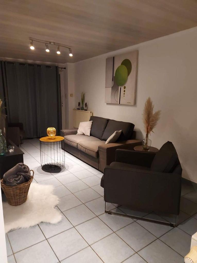 appartement rdc plein centre avec terrasse photo 2