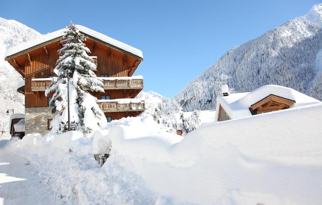 Chalet Bouquetin- Bellecôte 28 to 34 people photo 1