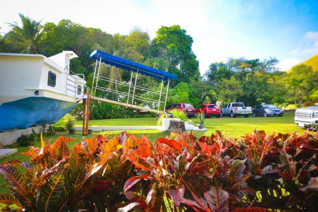 Queen Malesso Houseboat photo 2
