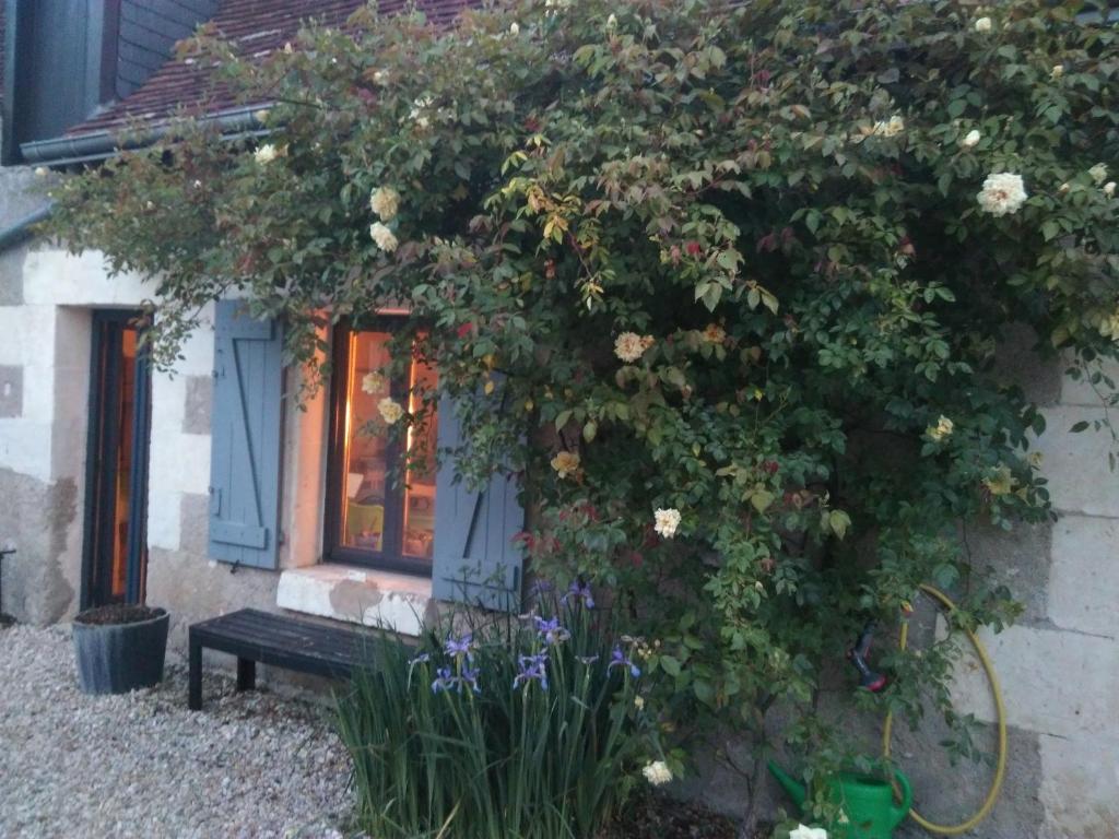Au Jardin de la Marquetterie photo 3