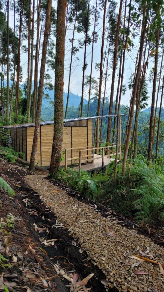 Latibule Glamping photo 2