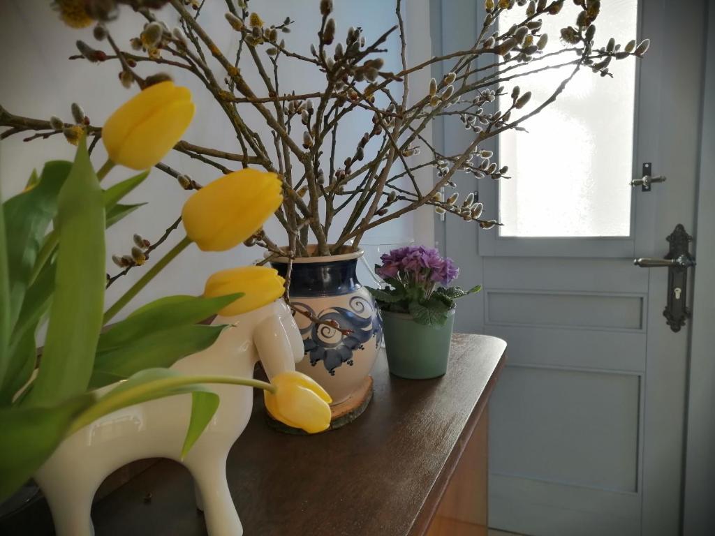 alte Apotheke photo 2