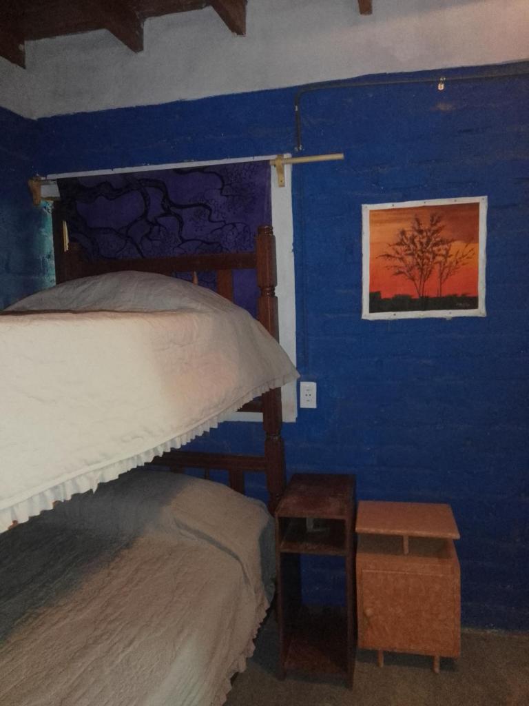La Casa del Naufrago photo 2