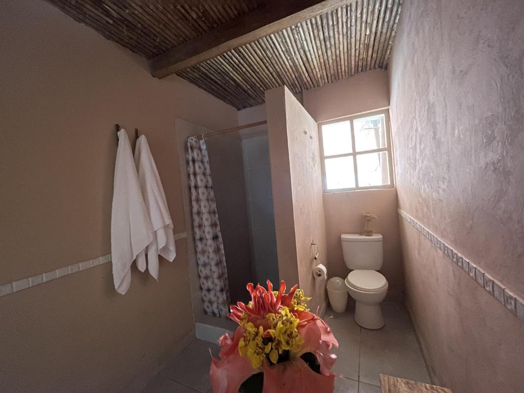 Casa Capirona 2 - Laguna Azul photo 2