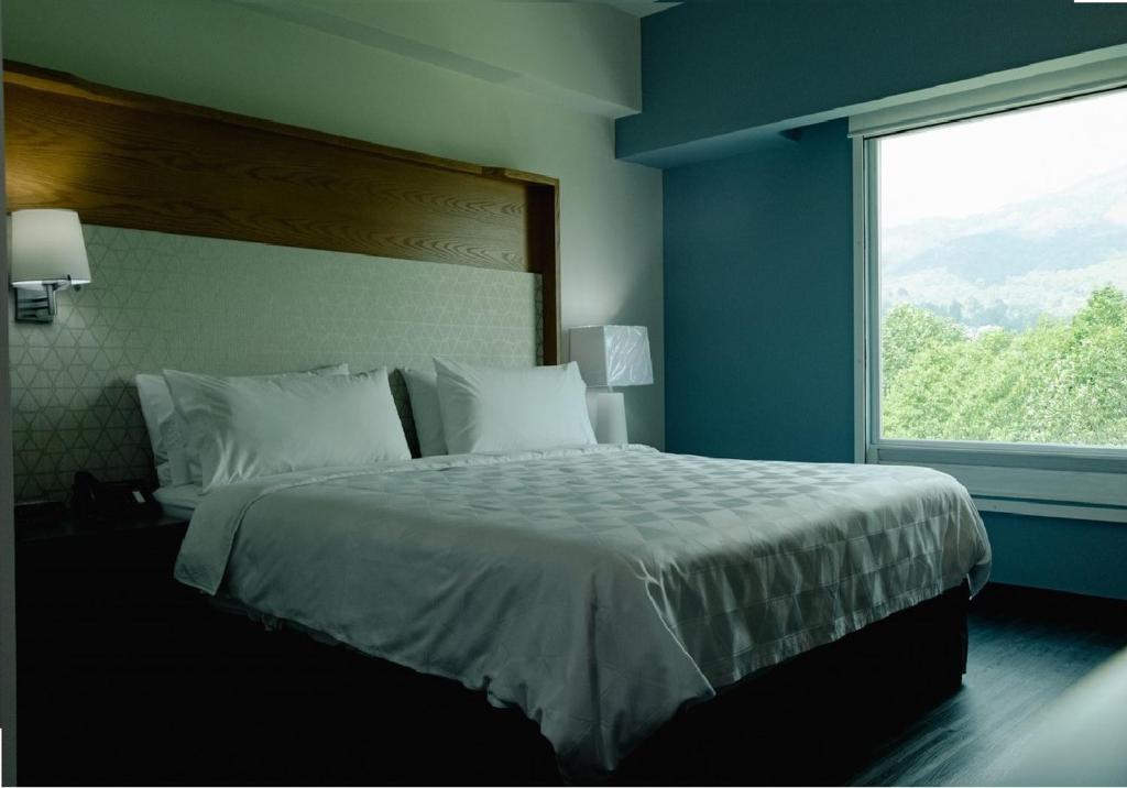 Holiday Inn Uruapan, an IHG Hotel photo 4