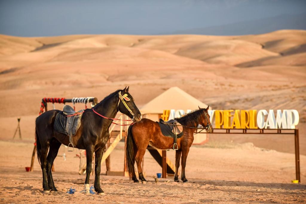 Agafay Pearl Camp Marrakech photo 2