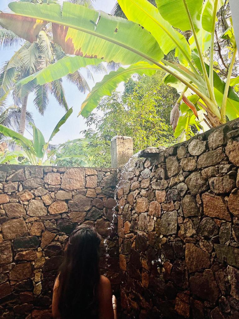 Mango Tree House photo 2