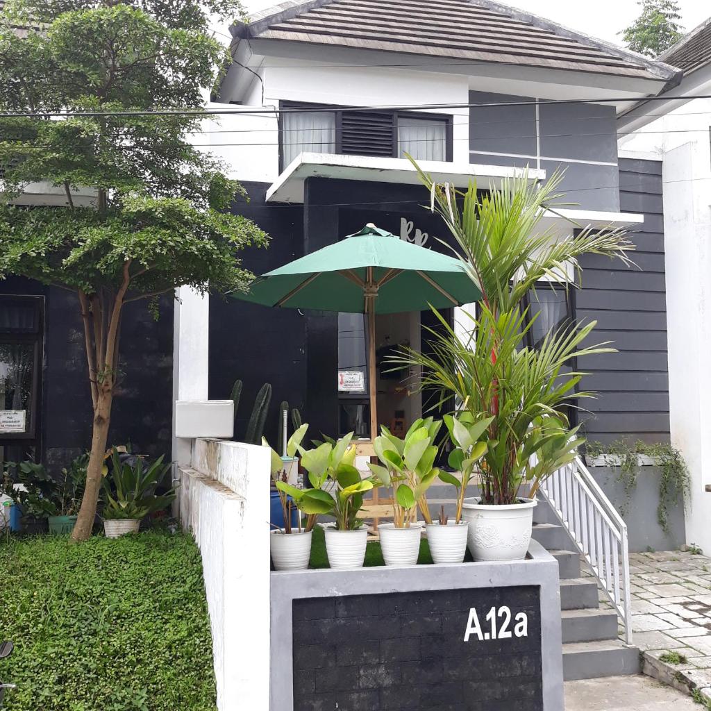 Villa RR photo 2