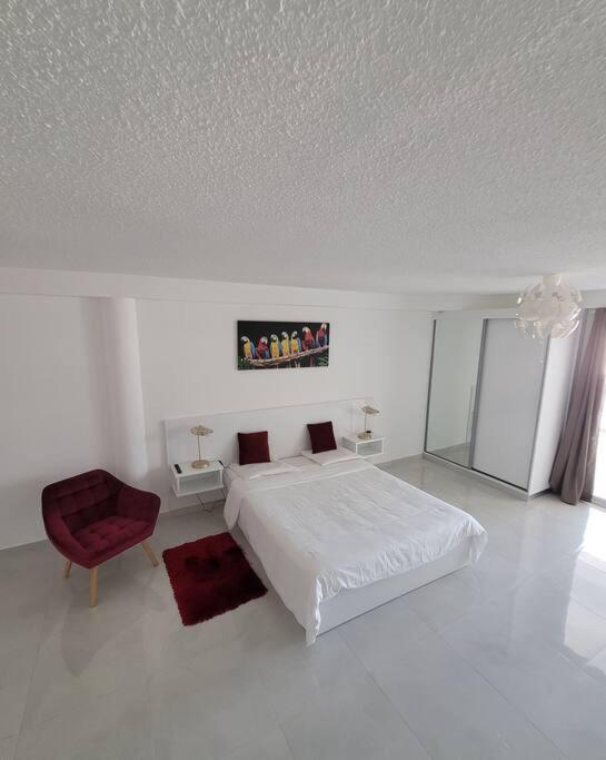 Hello Guyane, Suite Collection (5), 5 étoiles. photo 4