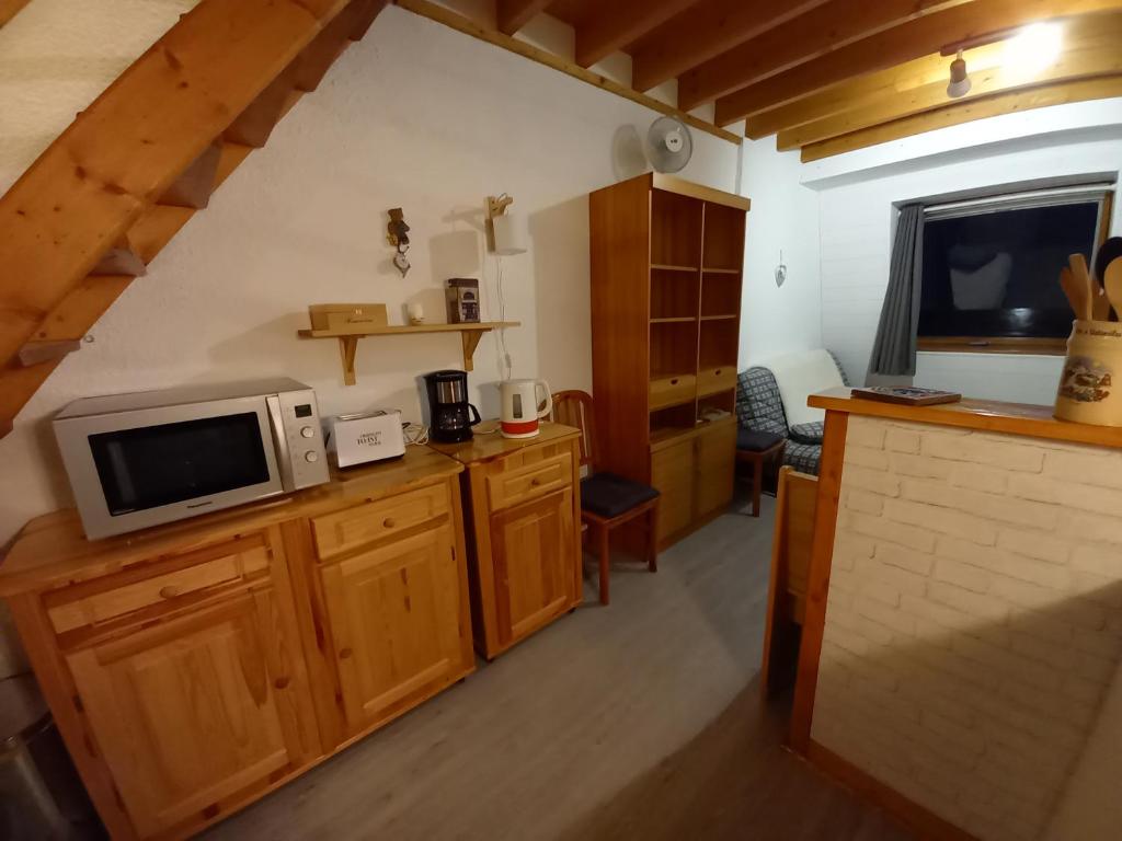 Appartement Mont Dore tout confort, 2 pièces, 4 personnes photo 3