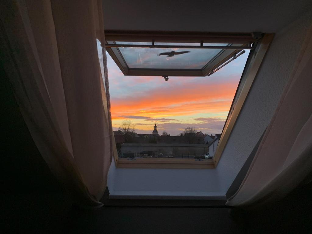 Ferienwohnung Oelzschau - Urlaub im Leipziger Neuseenland photo 1