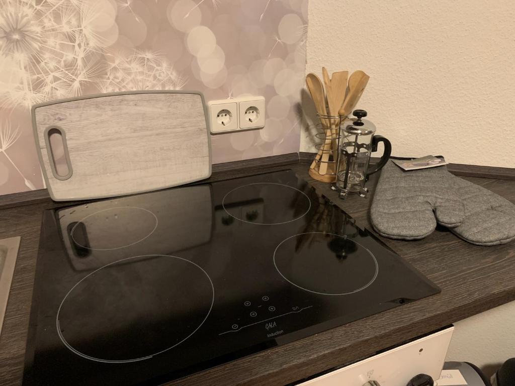 Ferienwohnung Oelzschau - Urlaub im Leipziger Neuseenland photo 4