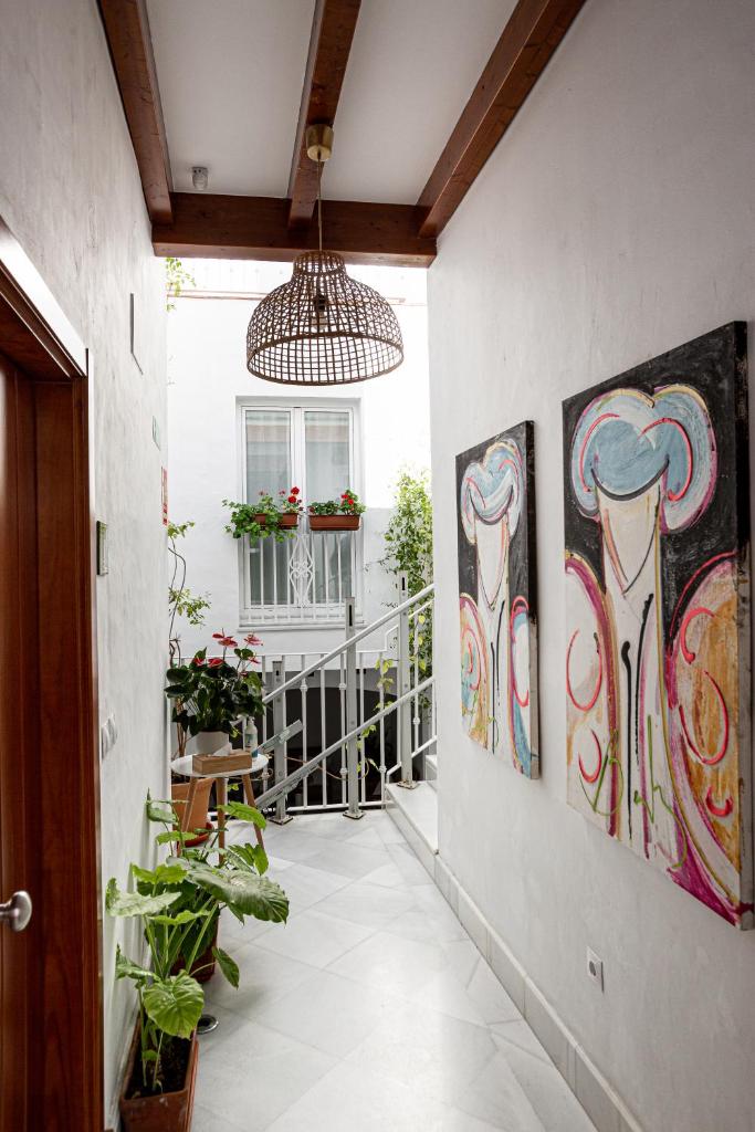 7Escalones photo 1