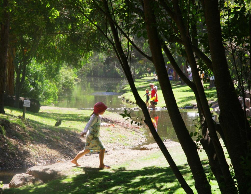 BIG4 Wye River Holiday Park photo 2
