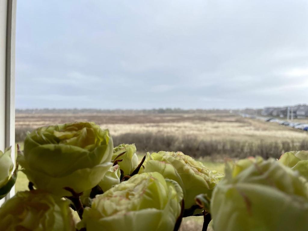 Norderhof Kliffsand 15 photo 4