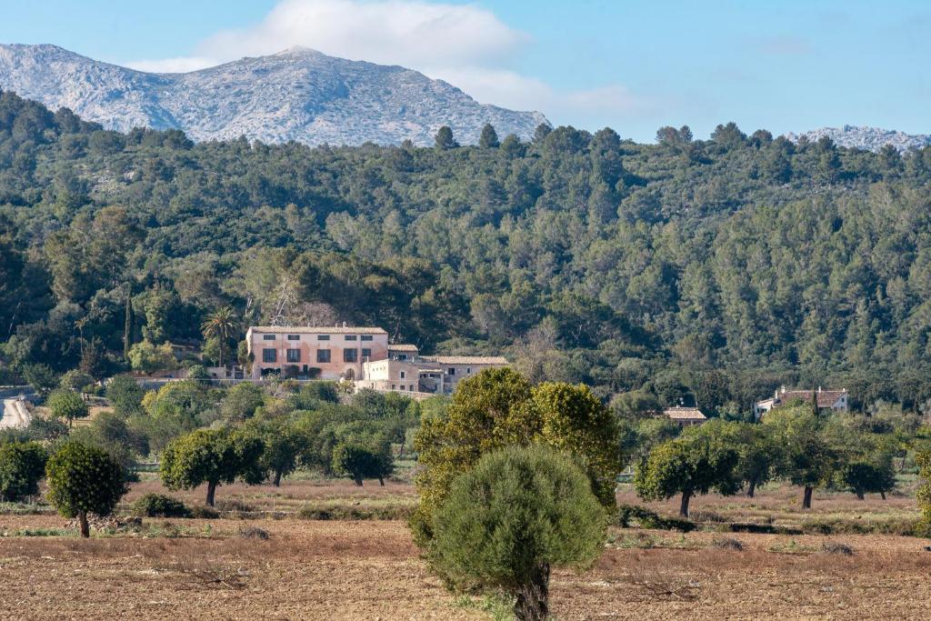 Finca Son Cladera photo 3
