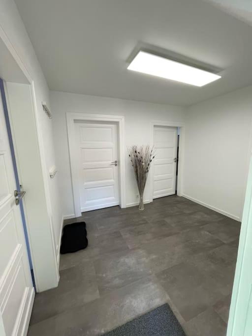 komfortable Ferienwohnung in Halle-Kröllwitz photo 2