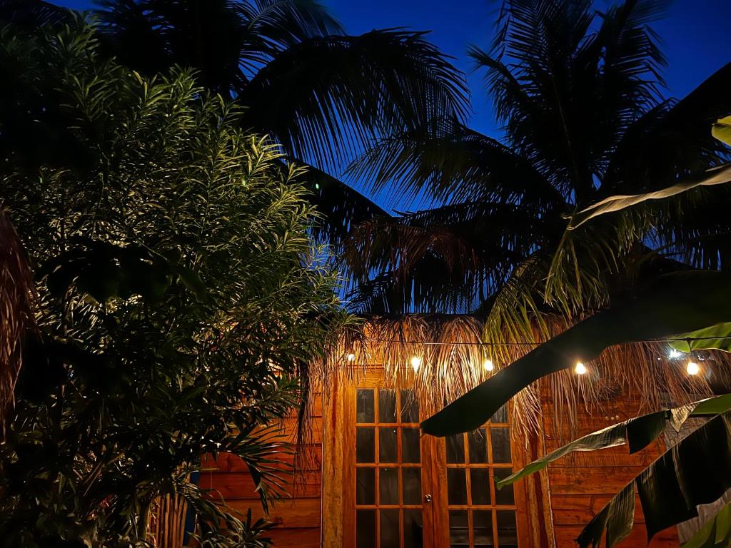 Luhme Tulum Hostel photo 2