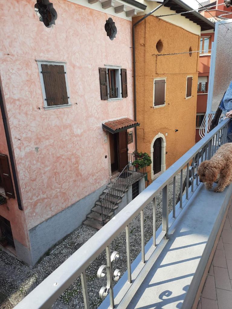 Casa Edda photo 3
