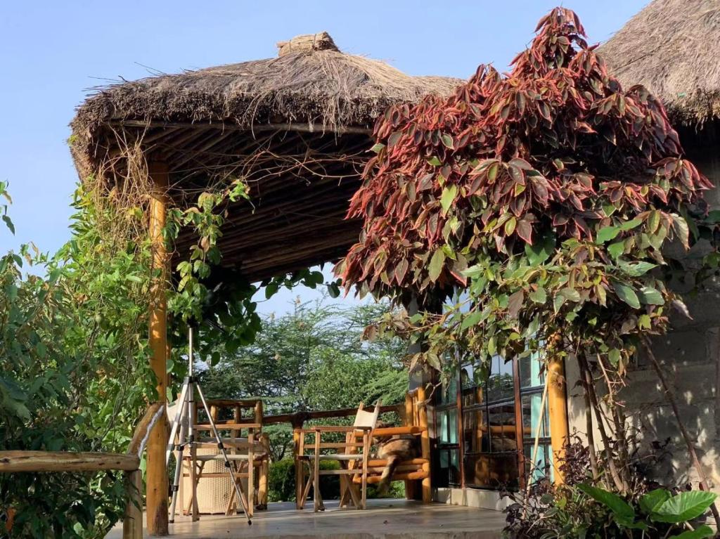 Jacaranda Bush Camp photo 1