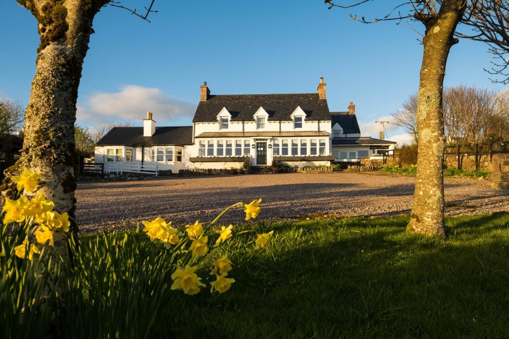 Summer Isles Hotel photo 4