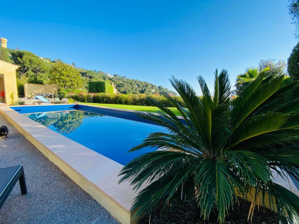 Luxury villa in Cannes with swimming pool & sea view photo 2