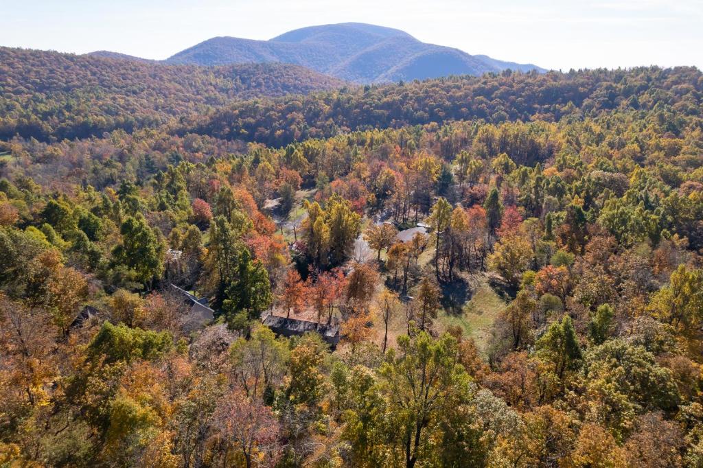 Love Ridge Mountain Lodging photo 4