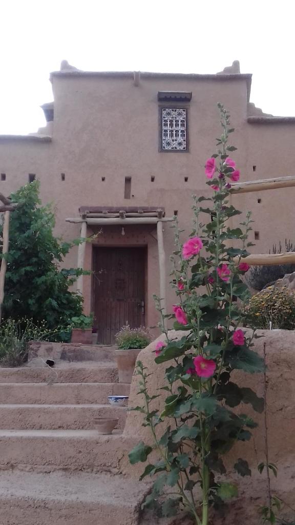 Kasbah Izoran photo 3