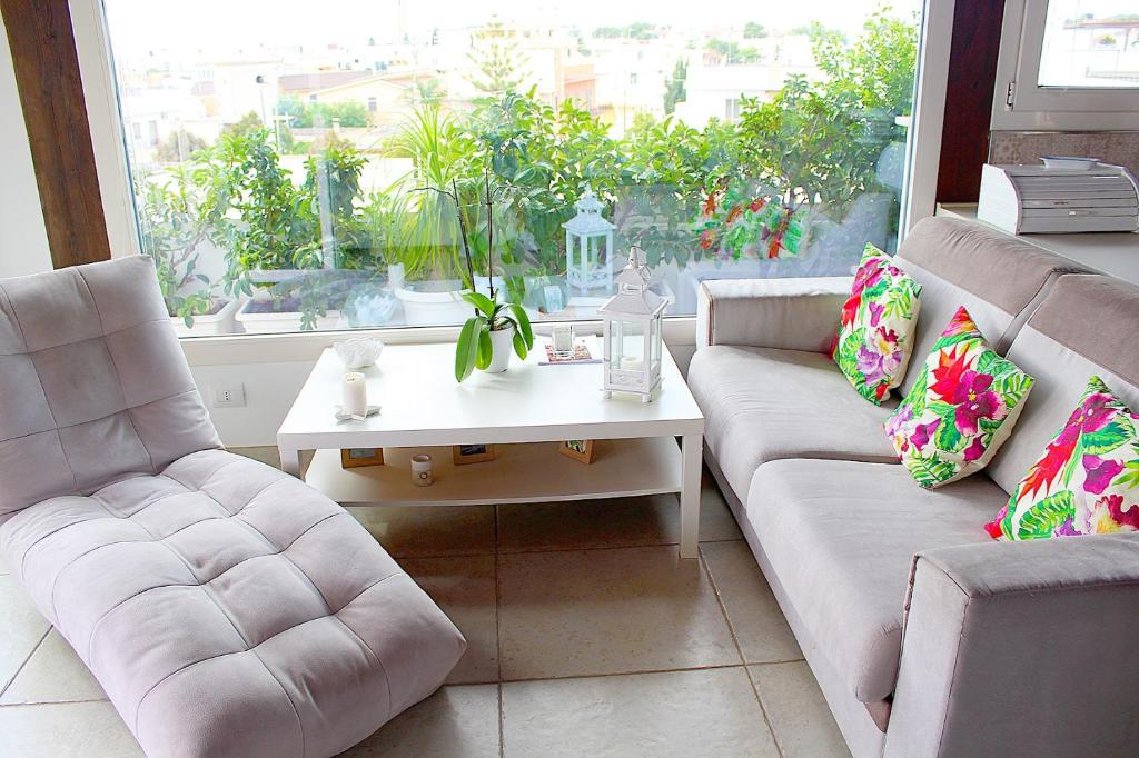 B&B WHITE photo 1