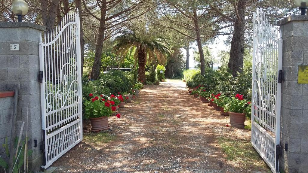Campo alle More photo 2