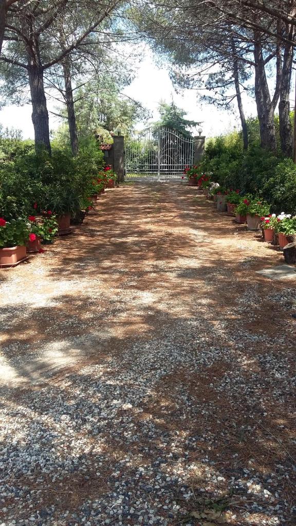 Campo alle More photo 1